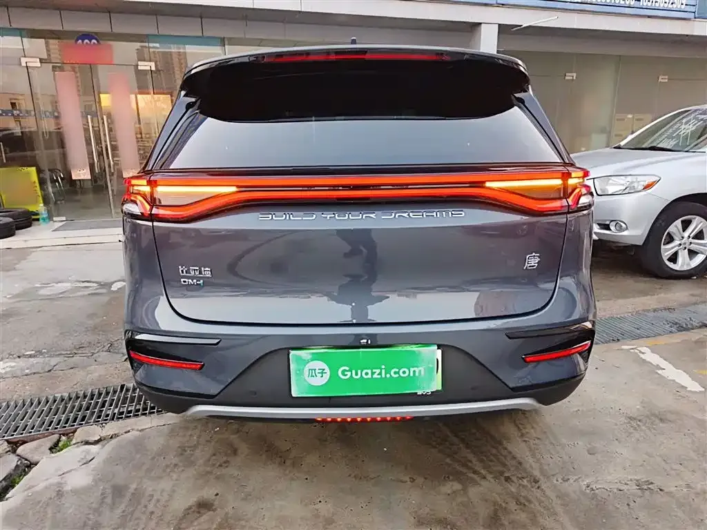 BYD Tang New Energy 2023 из CN, фото 5