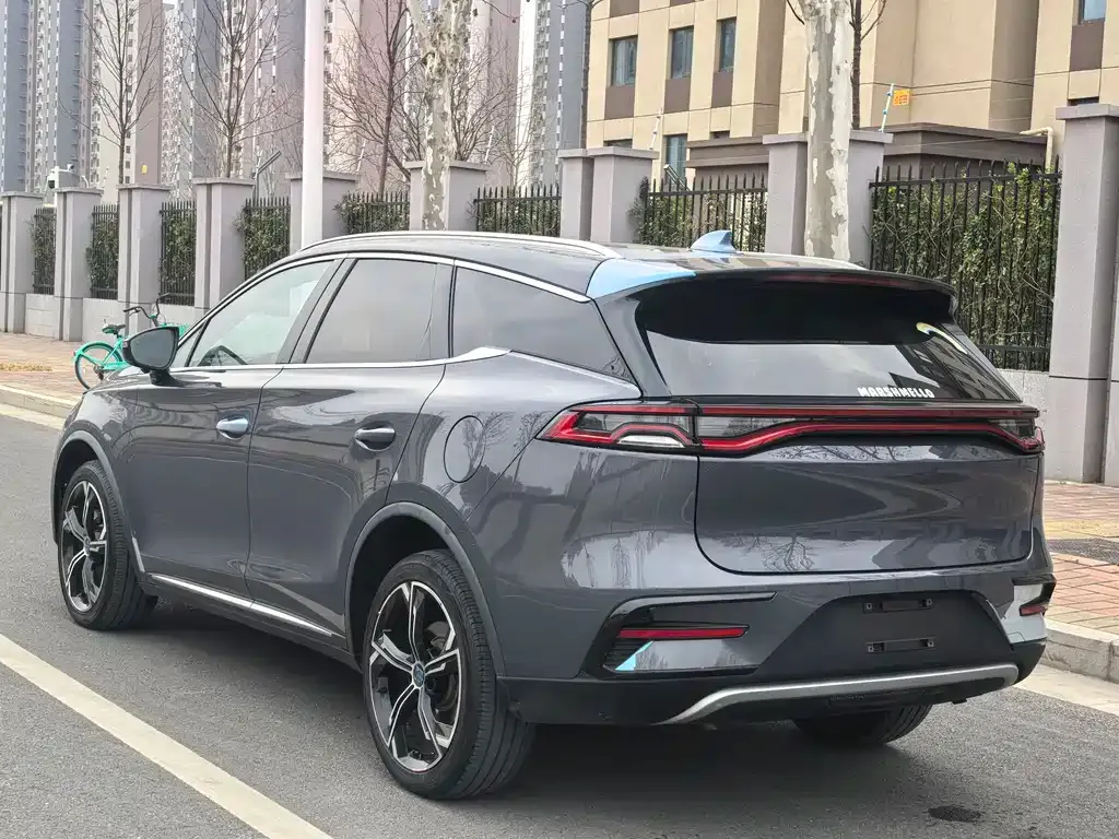BYD Tang New Energy — фото 2