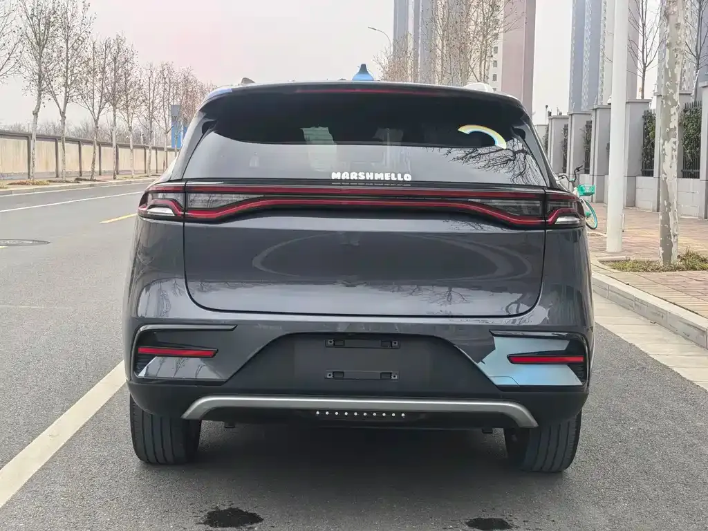 BYD Tang New Energy — фото 10