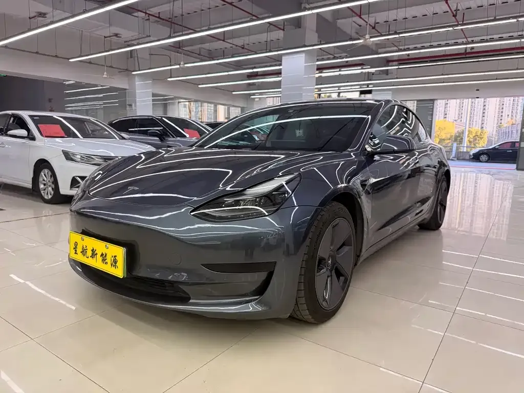 Tesla Model 3 2021 из CN, фото 1