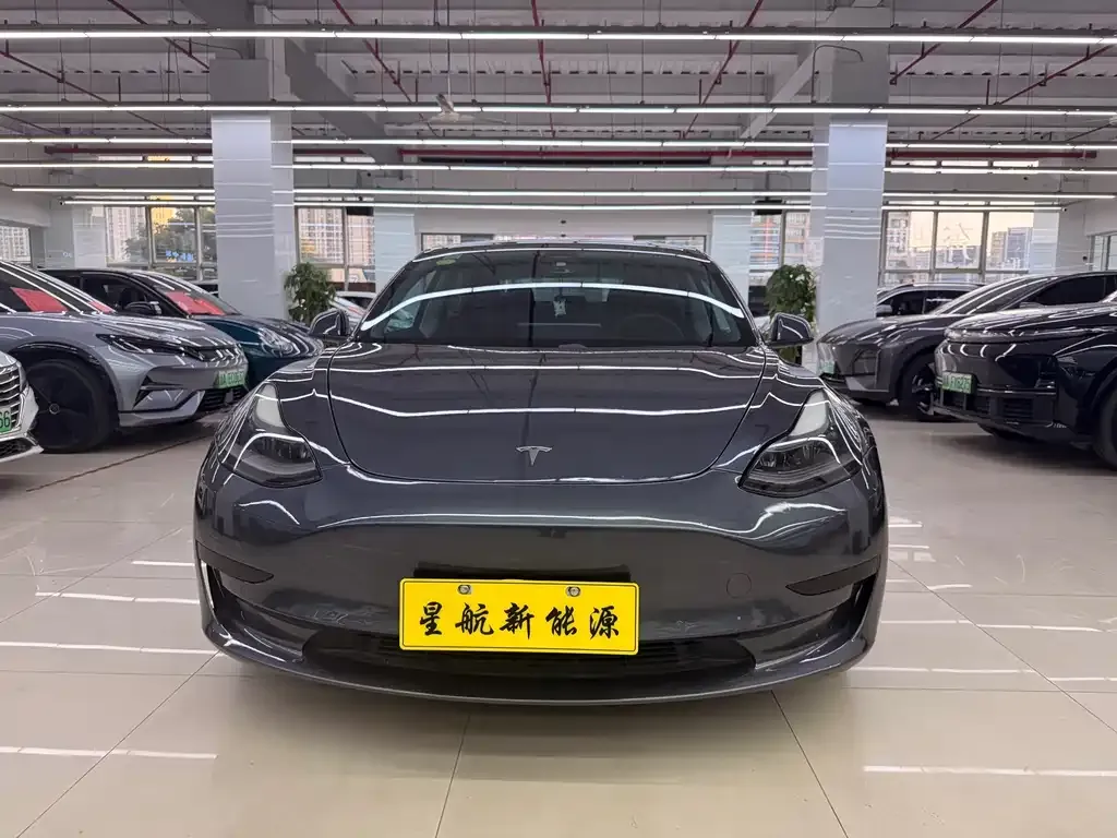 Tesla Model 3 2021 из CN, фото 3