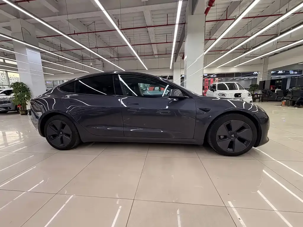 Tesla Model 3 2021 из CN, фото 5