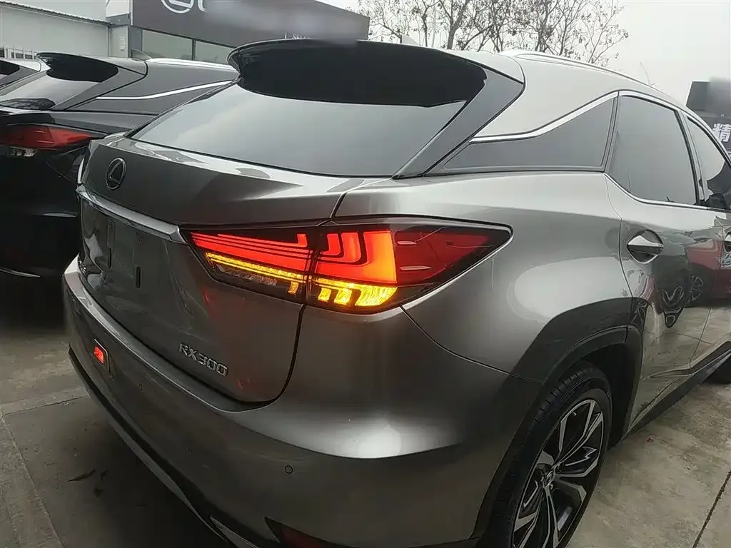Lexus RX 2021 из CN, фото 10