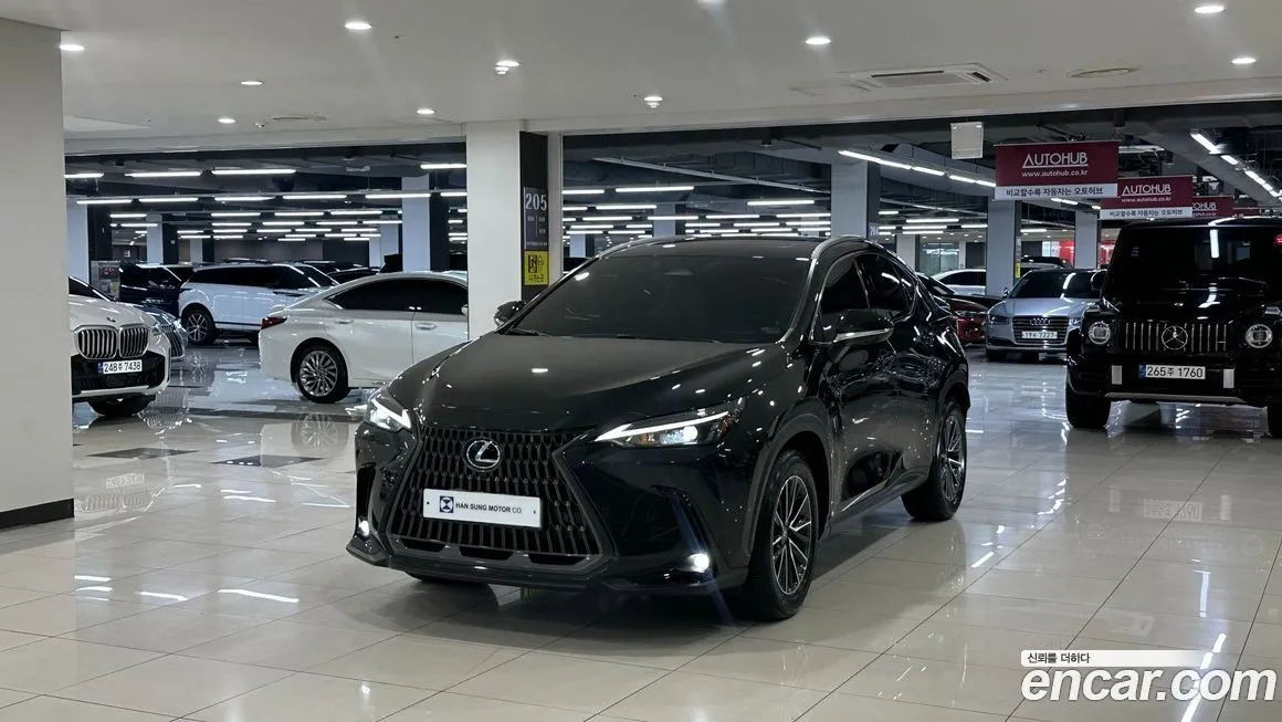 Lexus NX 2025 из KR, фото 1