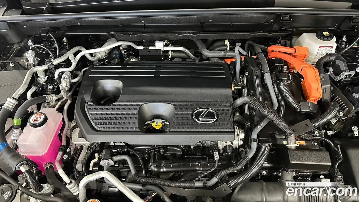 Lexus NX 2025 из KR, фото 7