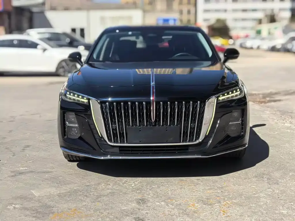 Hongqi H5 2023 из CN, фото 8