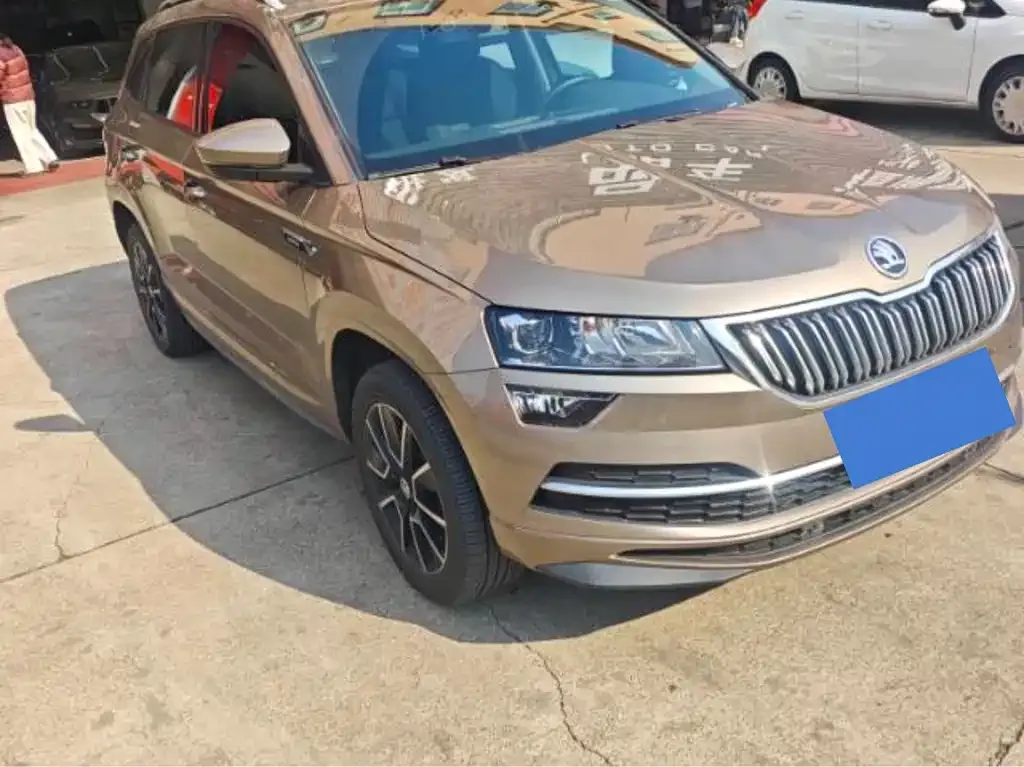 Skoda Karoq — фото 8