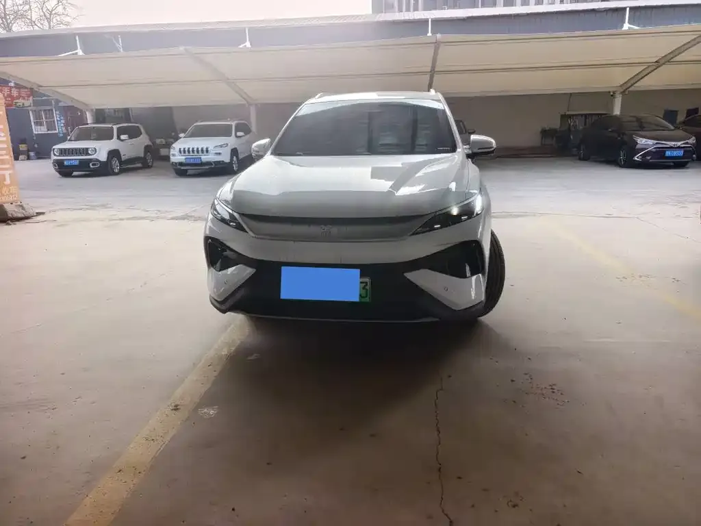 BYD Pro New Energy 2025 из CN, фото 3