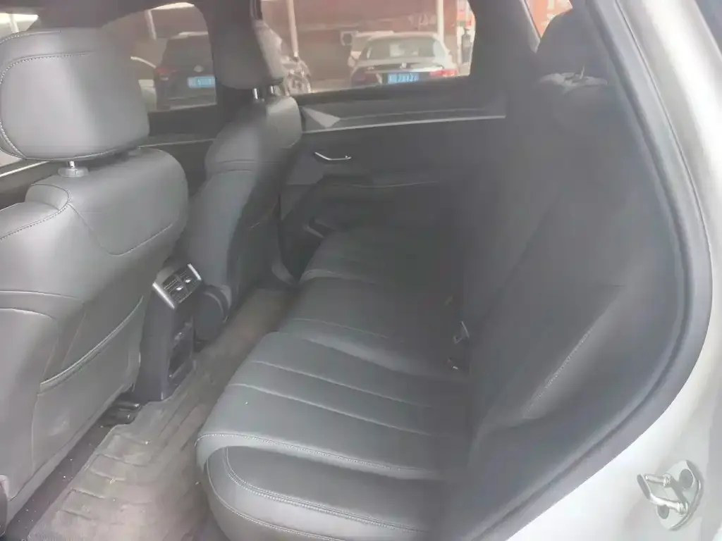 BYD Pro New Energy 2025 из CN, фото 2