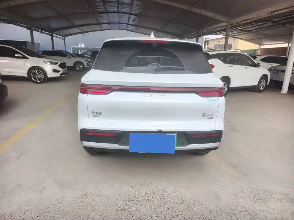 BYD Pro New Energy 2025 из CN, фото 5