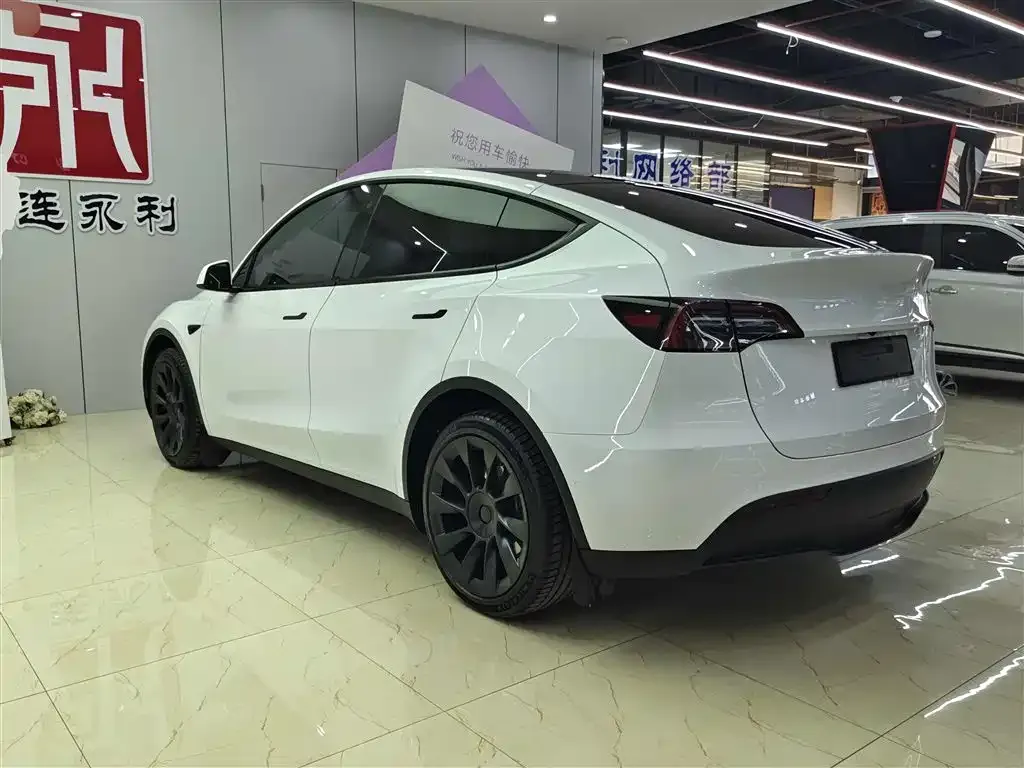 Tesla Model Y 2023 из CN, фото 5