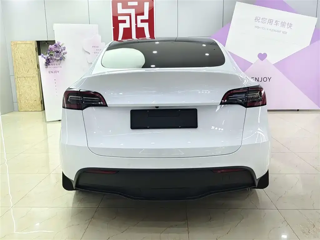 Tesla Model Y 2023 из CN, фото 2