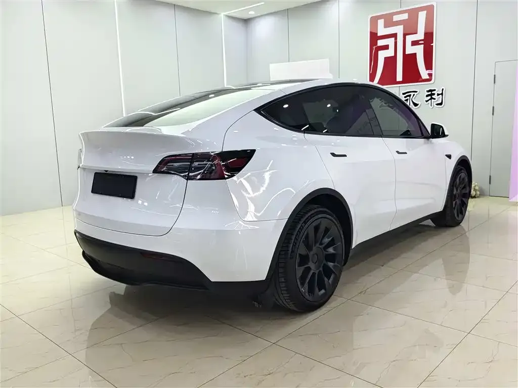 Tesla Model Y 2023 из CN, фото 9