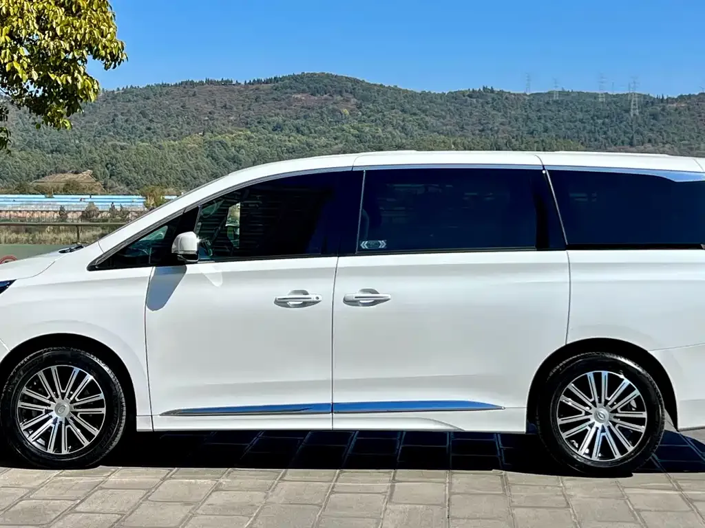 GAC Motor Trumpchi M8 2022 из CN, фото 3
