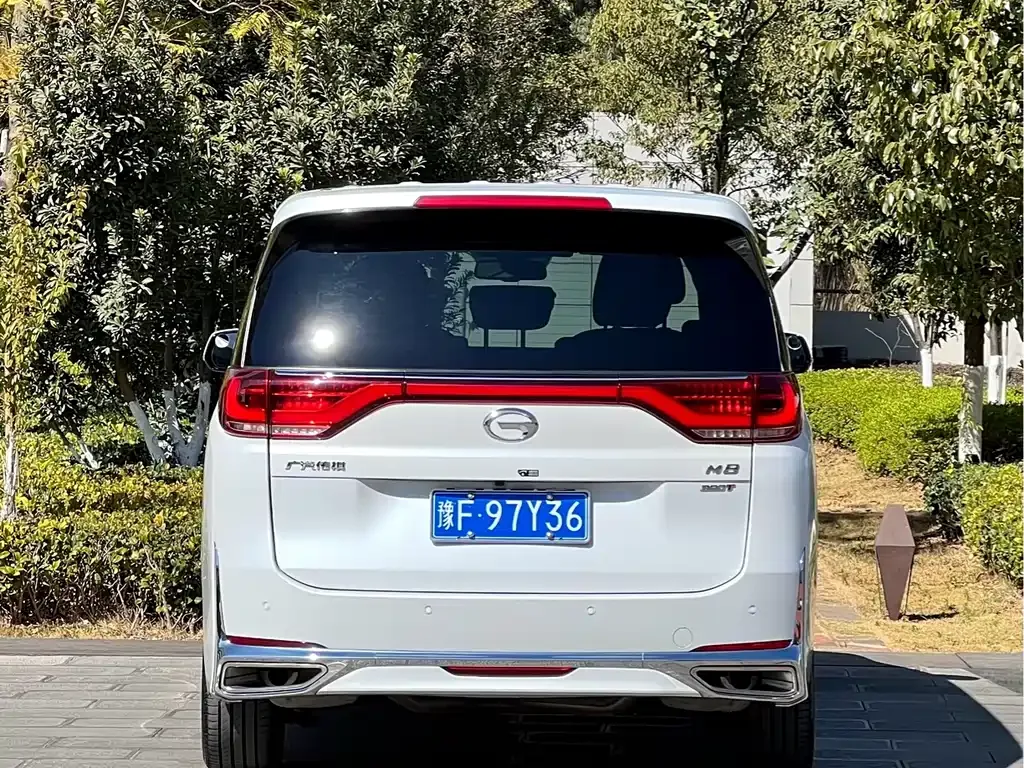 GAC Motor Trumpchi M8 2022 из CN, фото 10