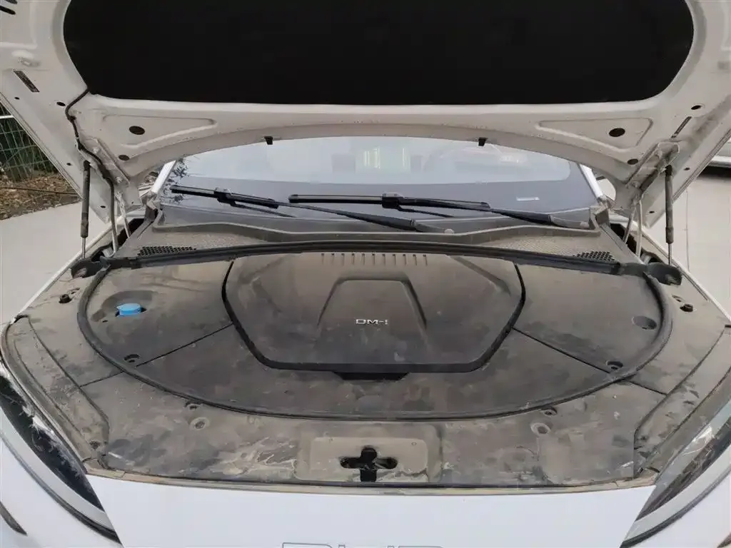 BYD PLUS New Energy — фото 4