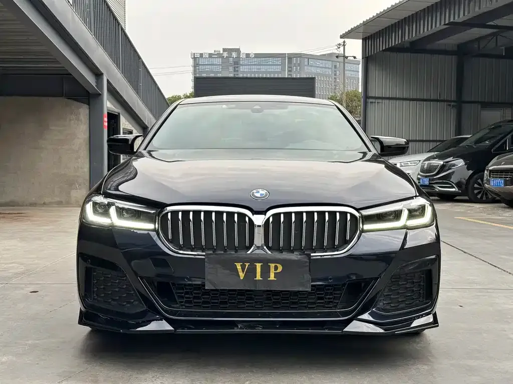 BMW 5 Series 2022 из CN, фото 3