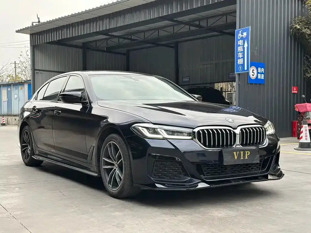 BMW 5 Series 2022 из CN, фото 5