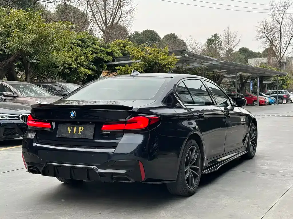 BMW 5 Series 2022 из CN, фото 8