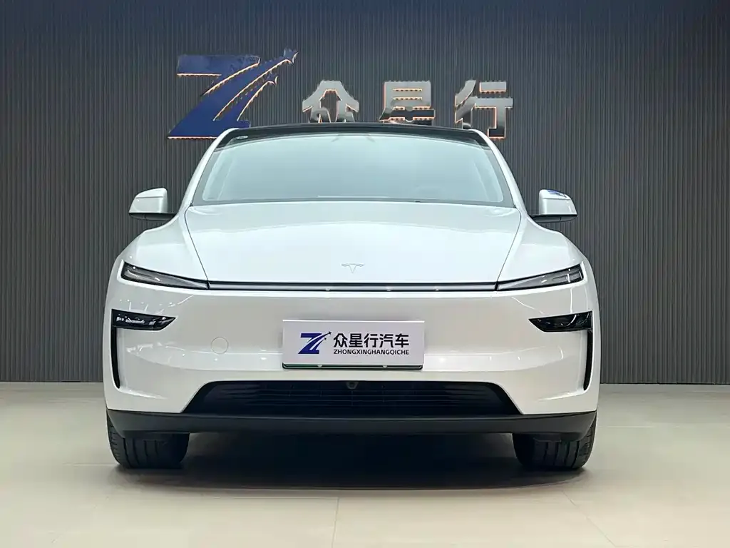 Tesla Model Y 2025 из CN, фото 4