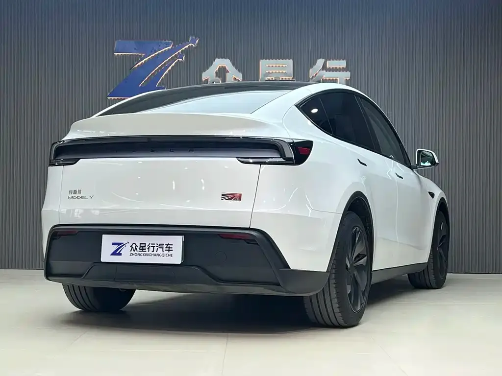 Tesla Model Y 2025 из CN, фото 6