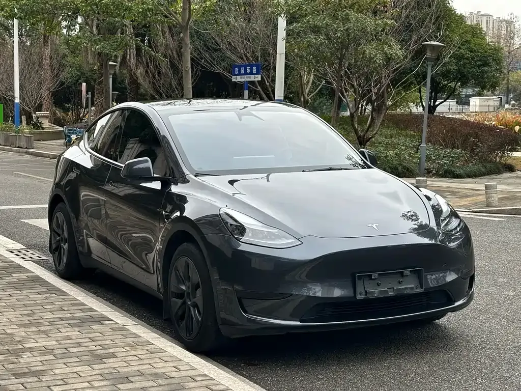 Tesla Model Y 2024 из CN, фото 6