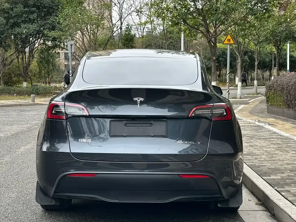 Tesla Model Y 2024 из CN, фото 4