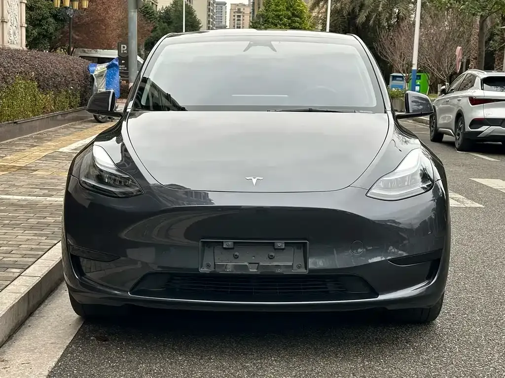 Tesla Model Y 2024 из CN, фото 5