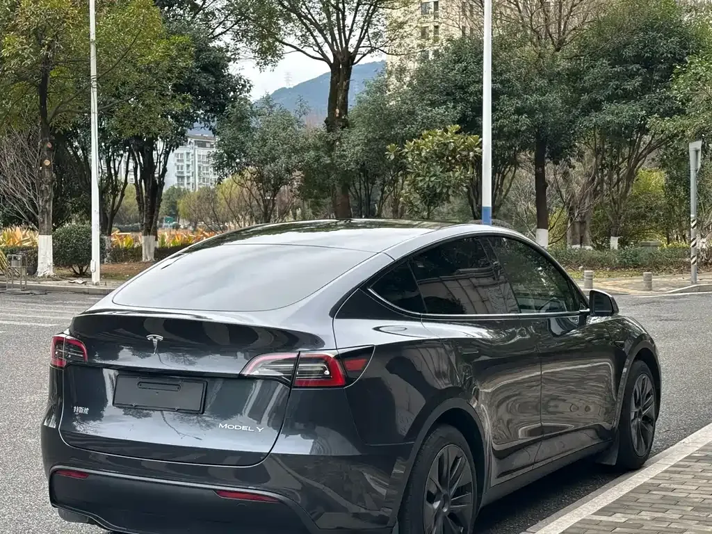 Tesla Model Y 2024 из CN, фото 9