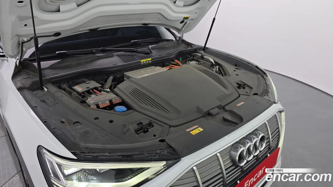 Audi e-tron 2021 из KR, фото 5