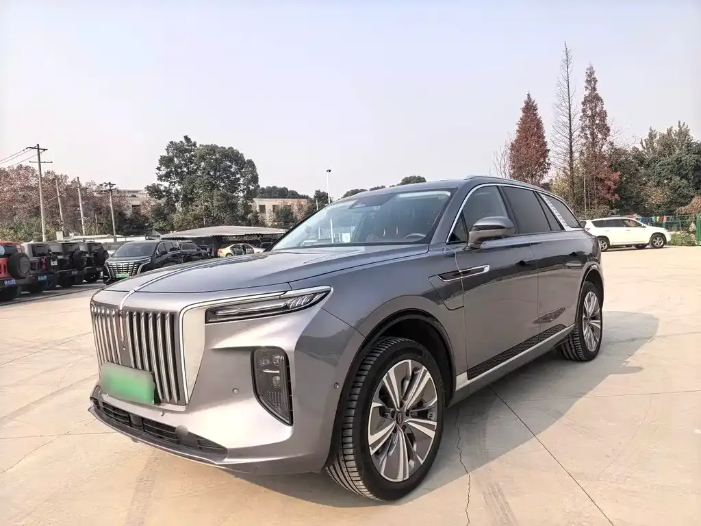 Hongqi E-HS9 2023 из CN, фото 1