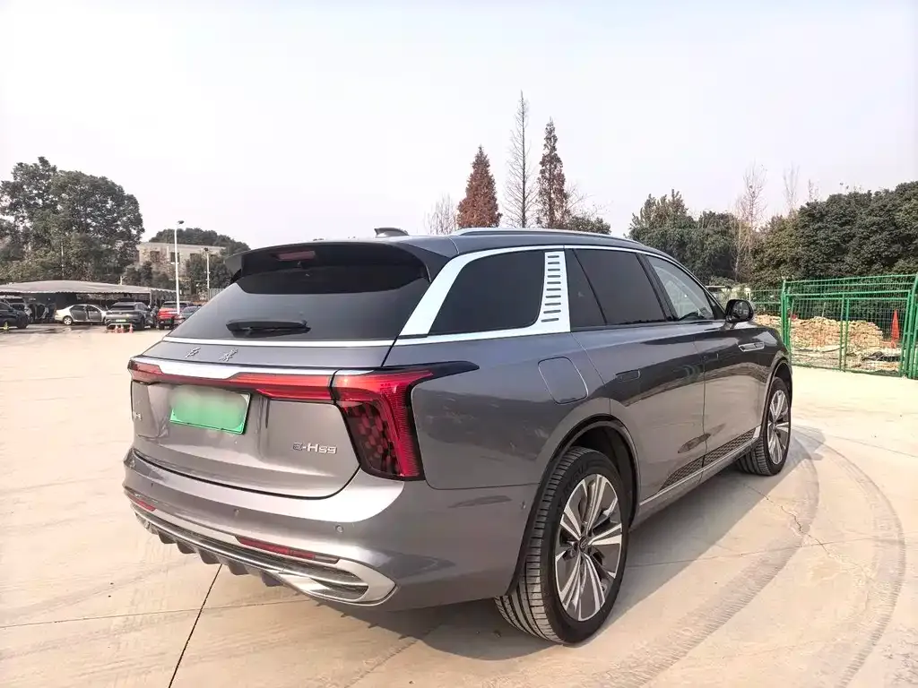 Hongqi E-HS9 2023 из CN, фото 4