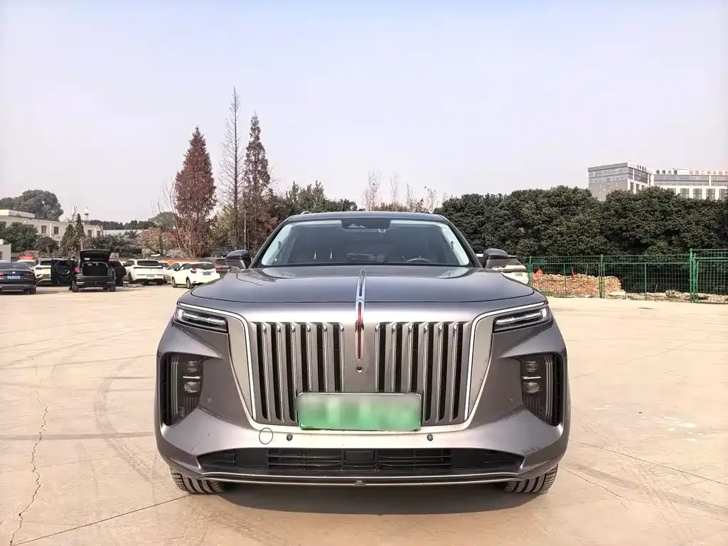 Hongqi E-HS9 2023 из CN, фото 8