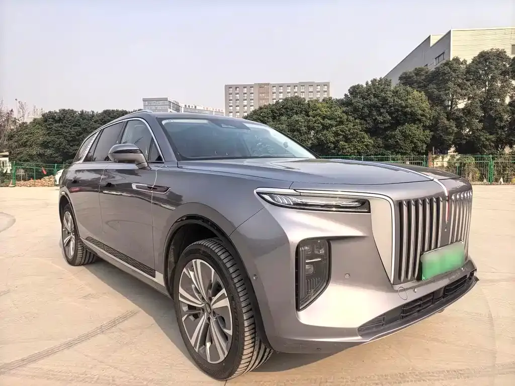 Hongqi E-HS9 2023 из CN, фото 2