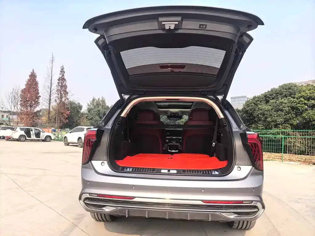 Hongqi E-HS9 2023 из CN, фото 3