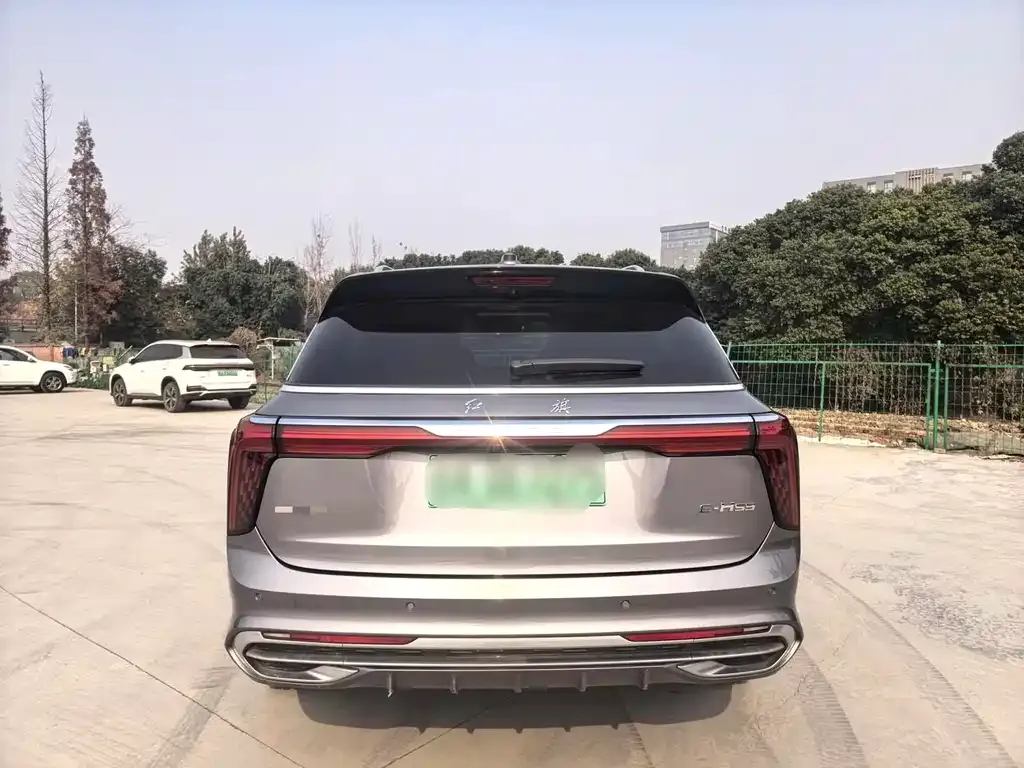 Hongqi E-HS9 2023 из CN, фото 9