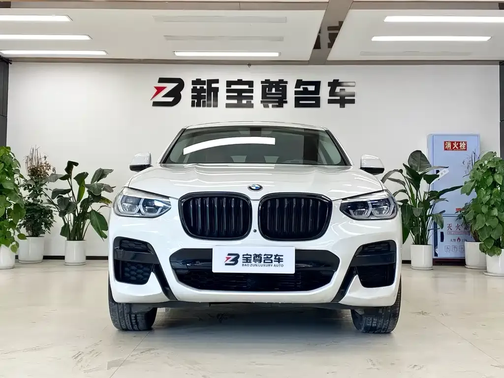 BMW X4 2021 из CN, фото 2