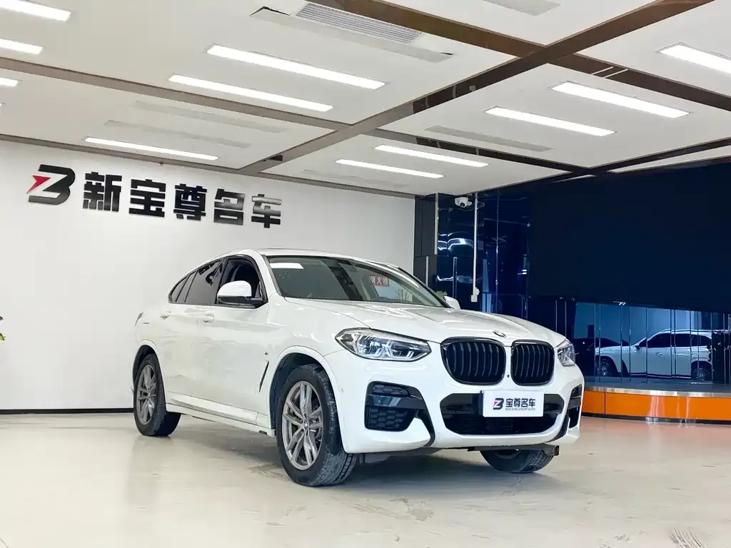 BMW X4 2021 из CN, фото 5