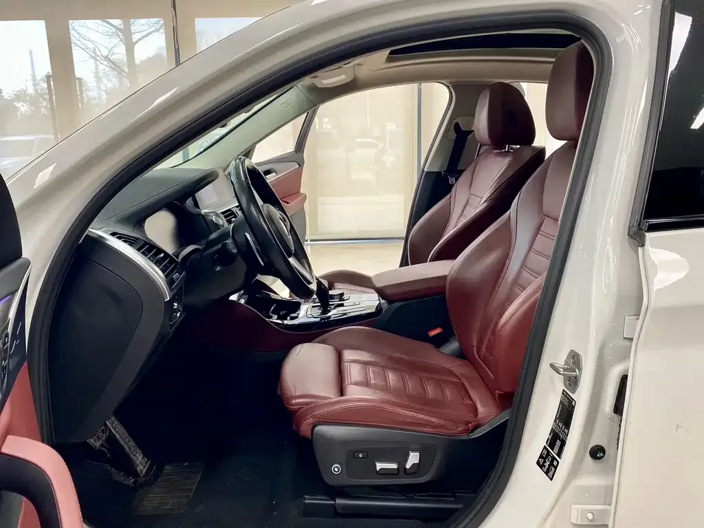 BMW X4 2021 из CN, фото 10