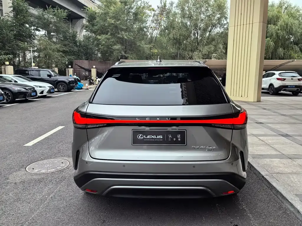 Lexus RX New Energy 2023 из CN, фото 8