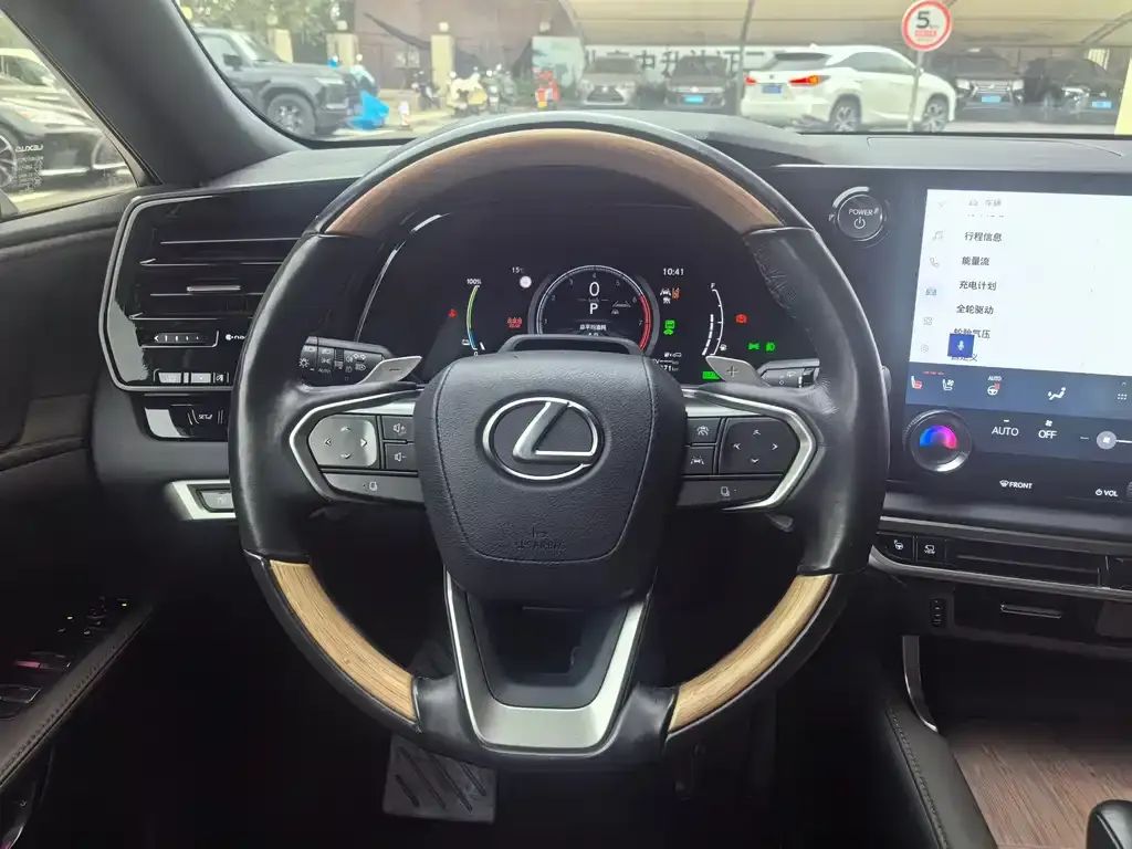 Lexus RX New Energy 2023 из CN, фото 3