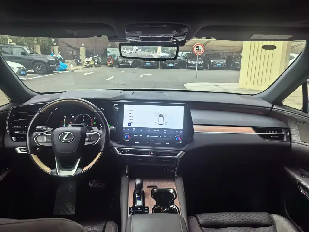 Lexus RX New Energy 2023 из CN, фото 6