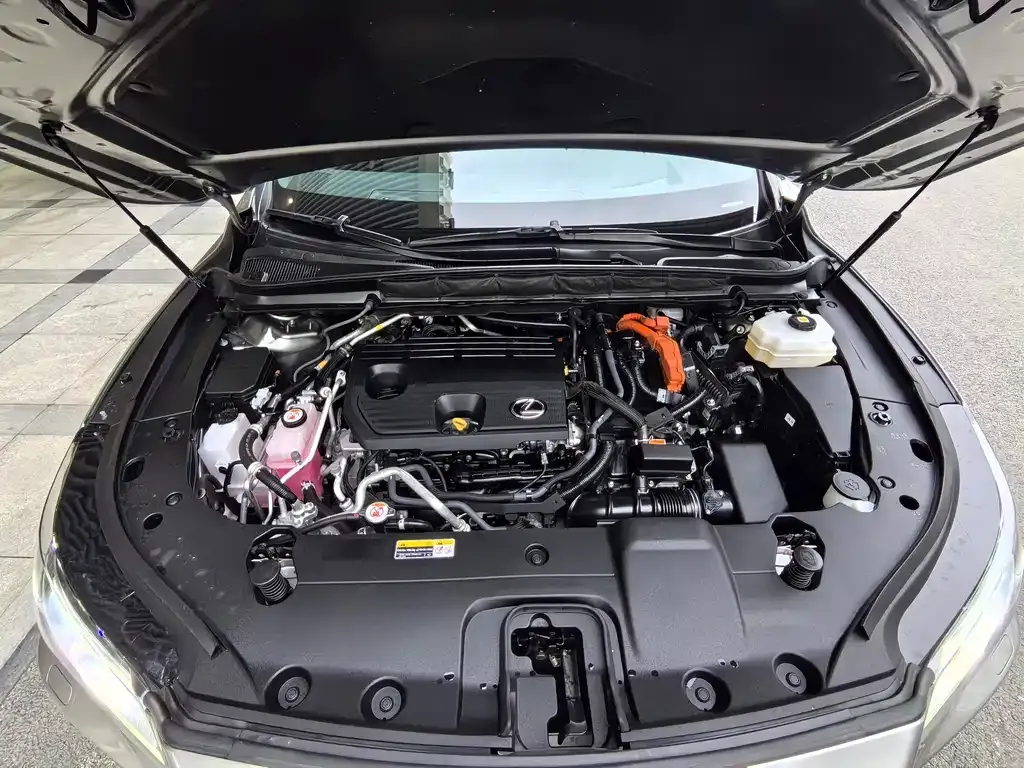 Lexus RX New Energy 2023 из CN, фото 9