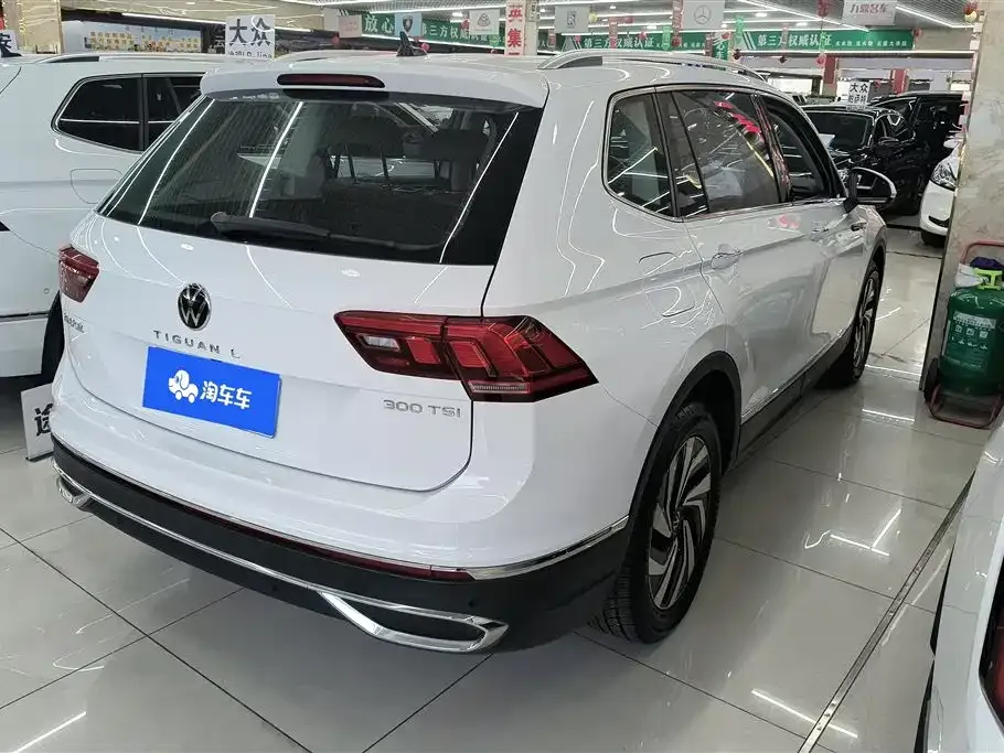Volkswagen Tiguan L 2023 из CN, фото 9