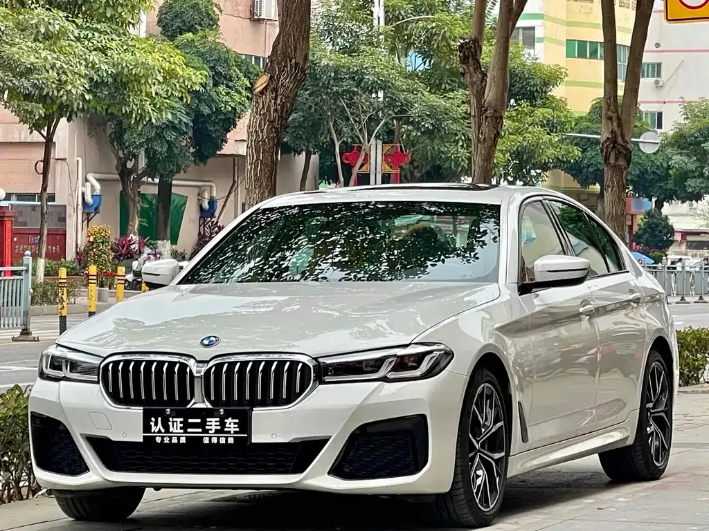 BMW 5 Series (Import) 2023 из CN, фото 1