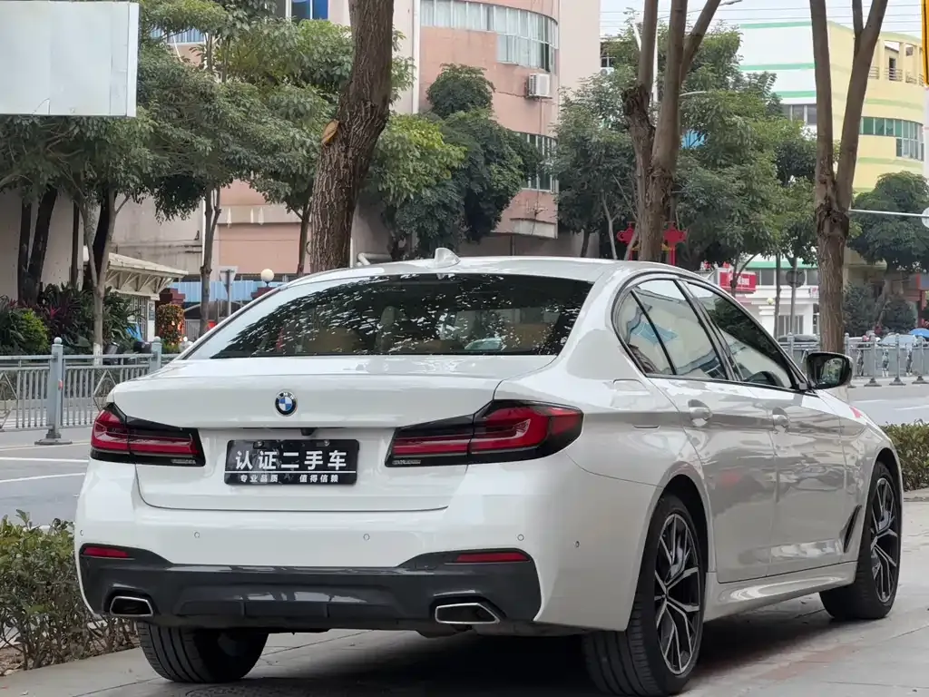 BMW 5 Series (Import) 2023 из CN, фото 9