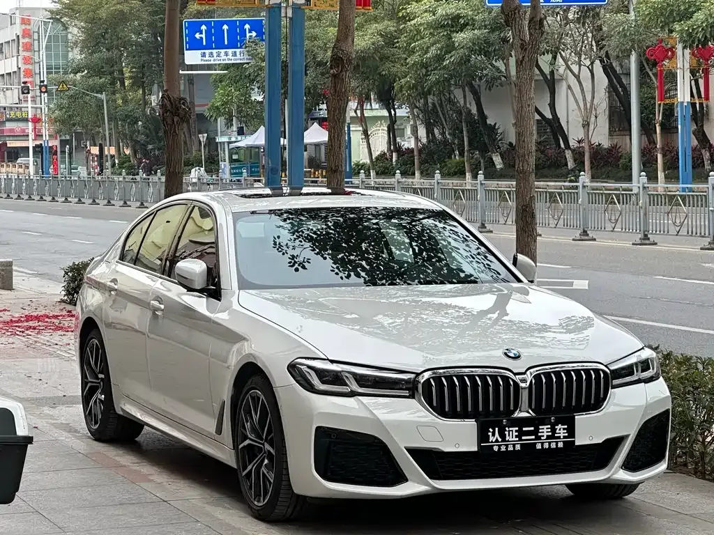 BMW 5 Series (Import) 2023 из CN, фото 4
