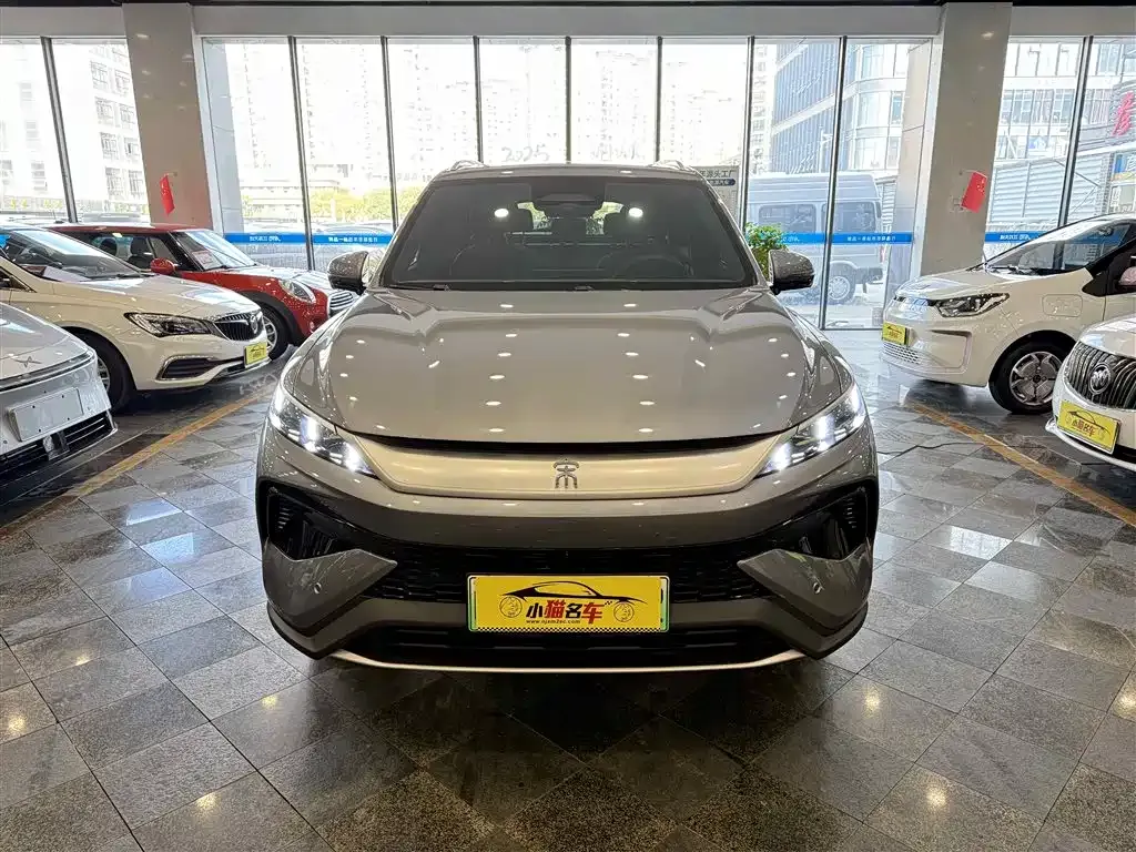 BYD Pro New Energy — фото 3