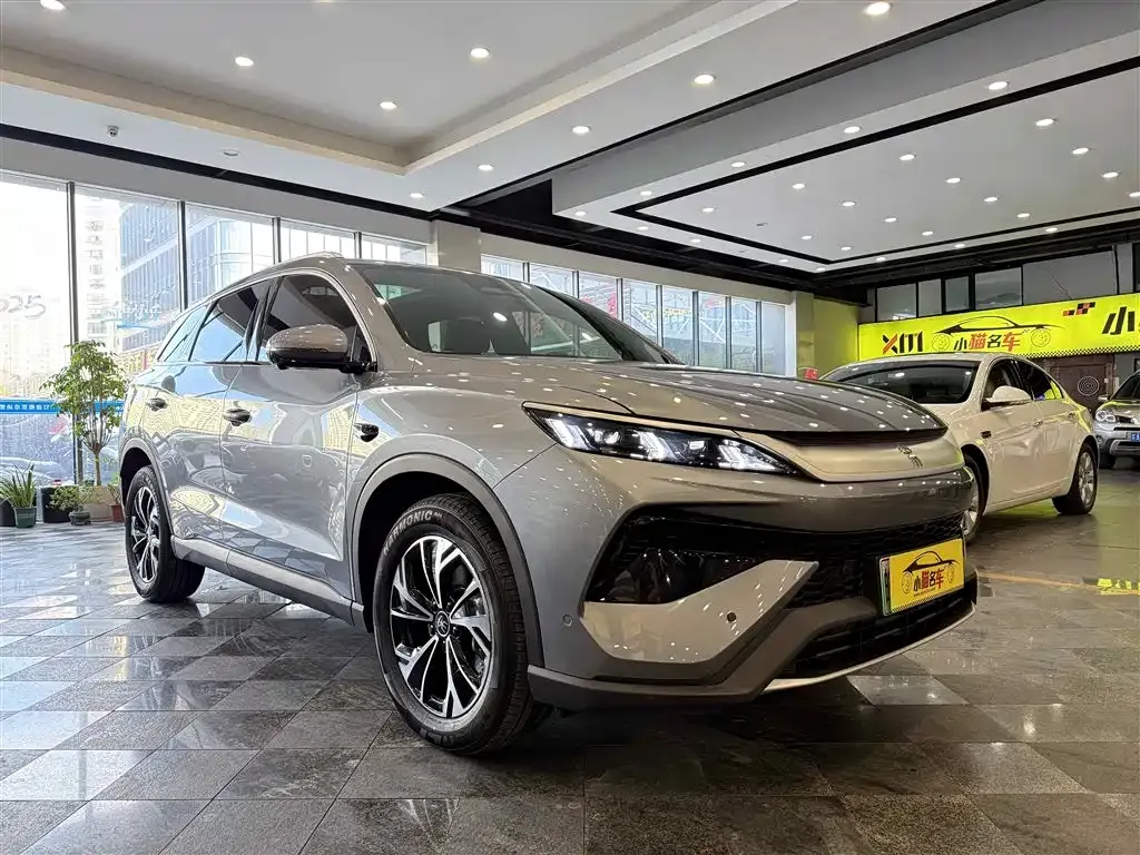 BYD Pro New Energy — фото 4