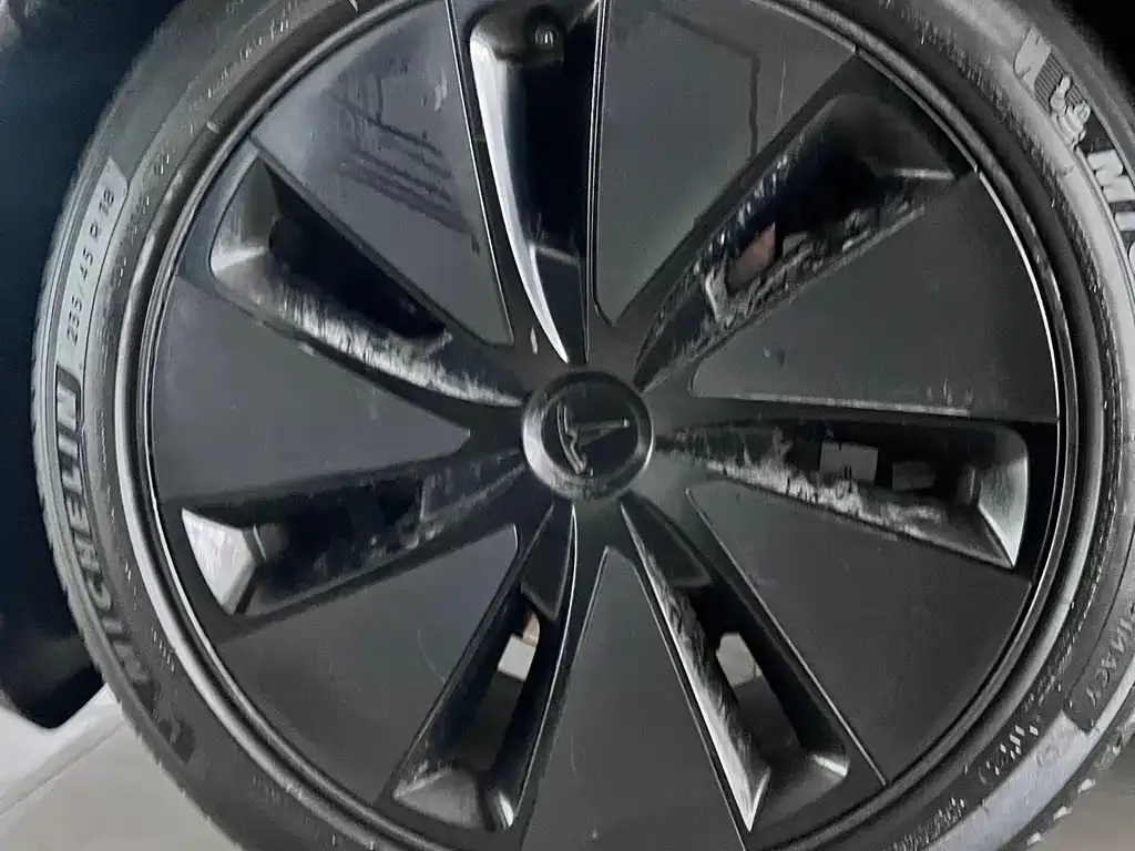 Tesla Model 3 2024 из CN, фото 10